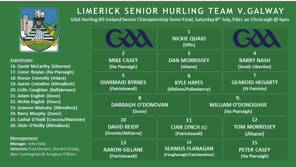 Limerick Senior Hurling Team and Match Panel for this Saturday All