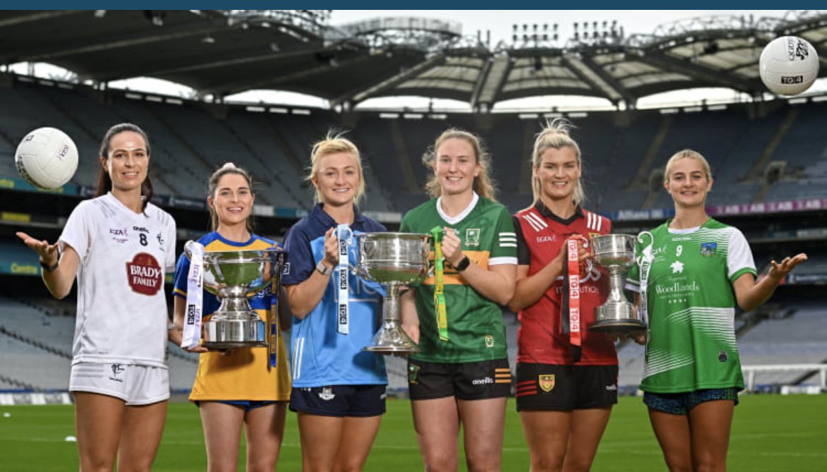 Down, Limerick, Clare, Kildare, Dublin and Kerry aim for TG4 All-Ireland  glory:, Limerick GAA