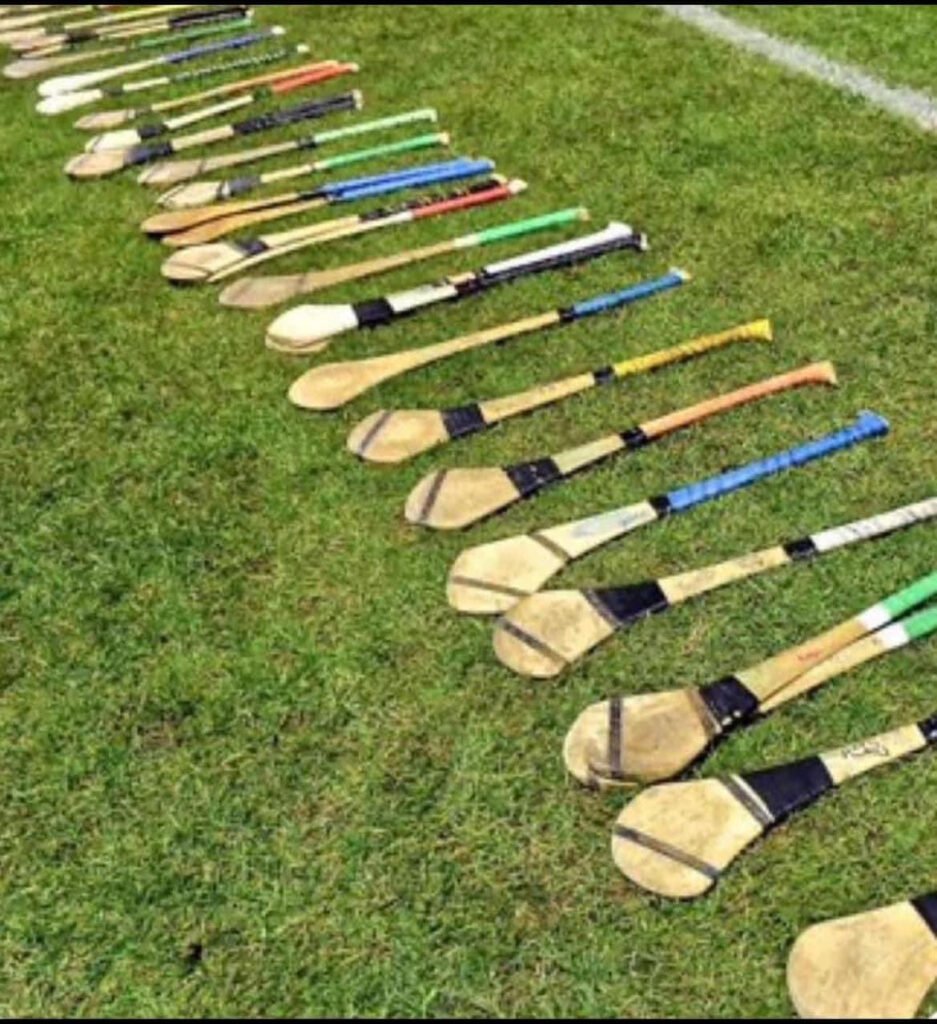 Patrickswell GAA Club Notes Limerick GAA Official site